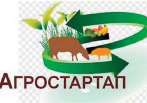 Министерство сельского хозяйства и перерабатывающей промышленности Краснодарского края извещает о проведении отбора по предоставлению грантов на реализацию «Агростартап».
