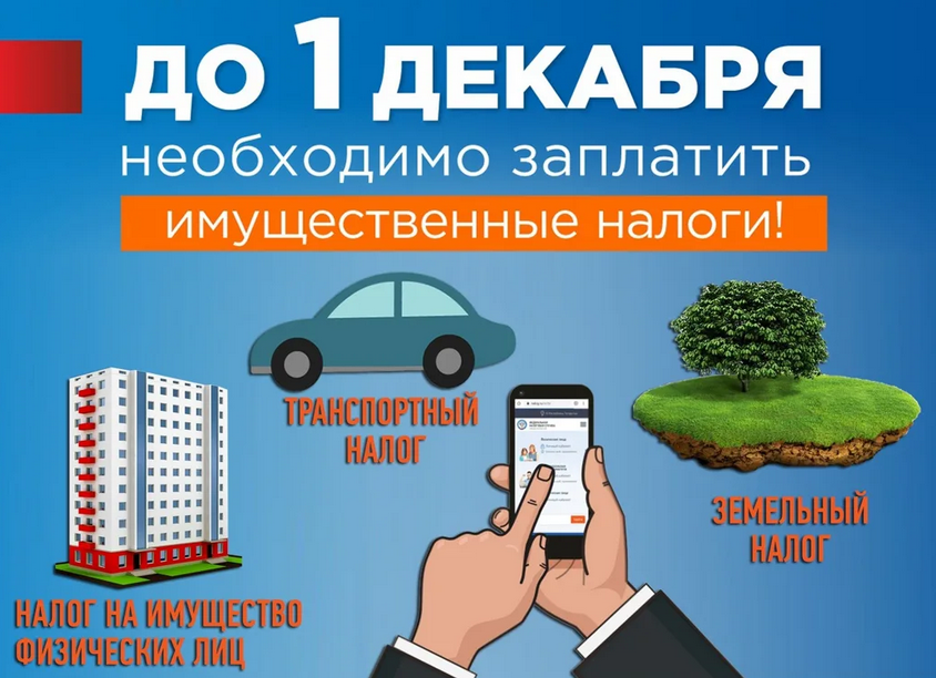 1 декабря истекает срок уплаты налогов на землю, транспорт и имущество физических лиц.
