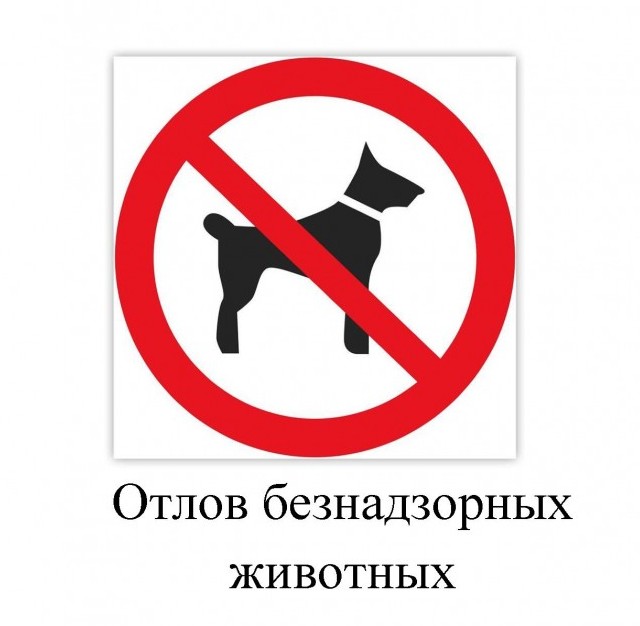 Отлов безнадзорных животных