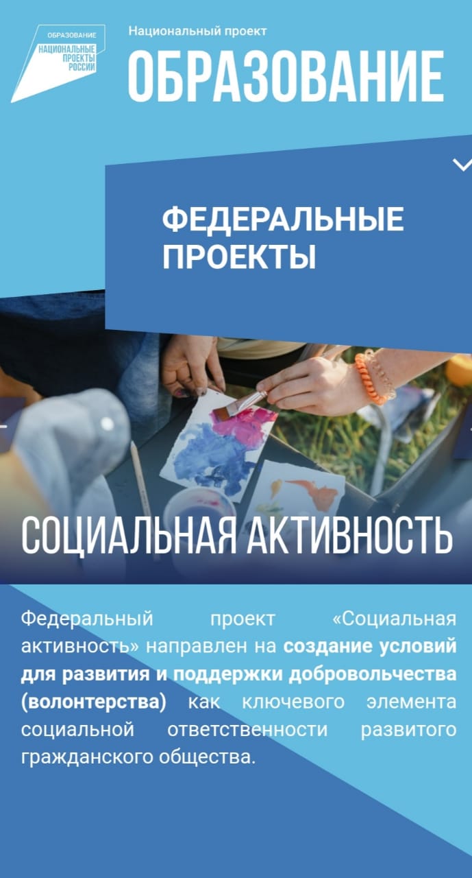 Общая характеристика федерального проекта «Социальная активность»