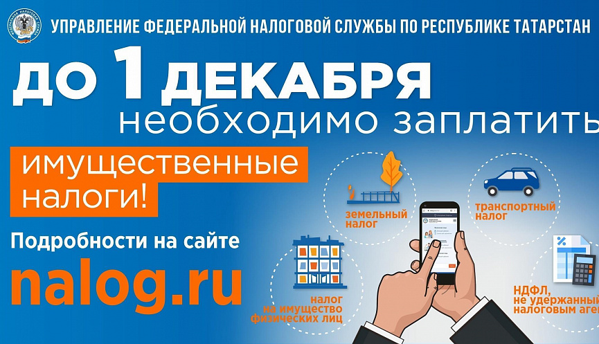 Имущественные налоги необходимо оплатить до 1 декабря 2023