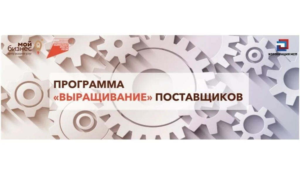 Информирование субъектов МСП