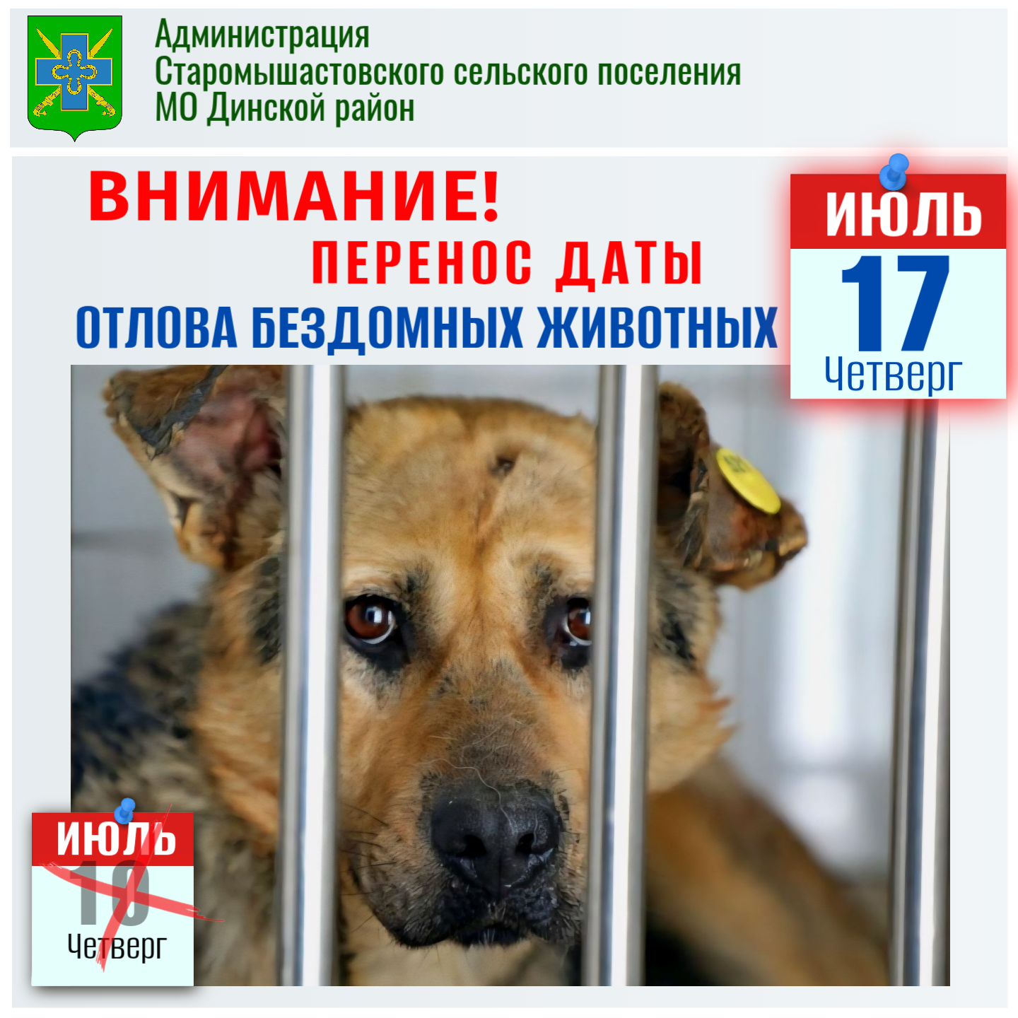 ПЕРЕНОС ДАТЫ ОТЛОВА БЕЗДОМНЫХ ЖИВОТНЫХ