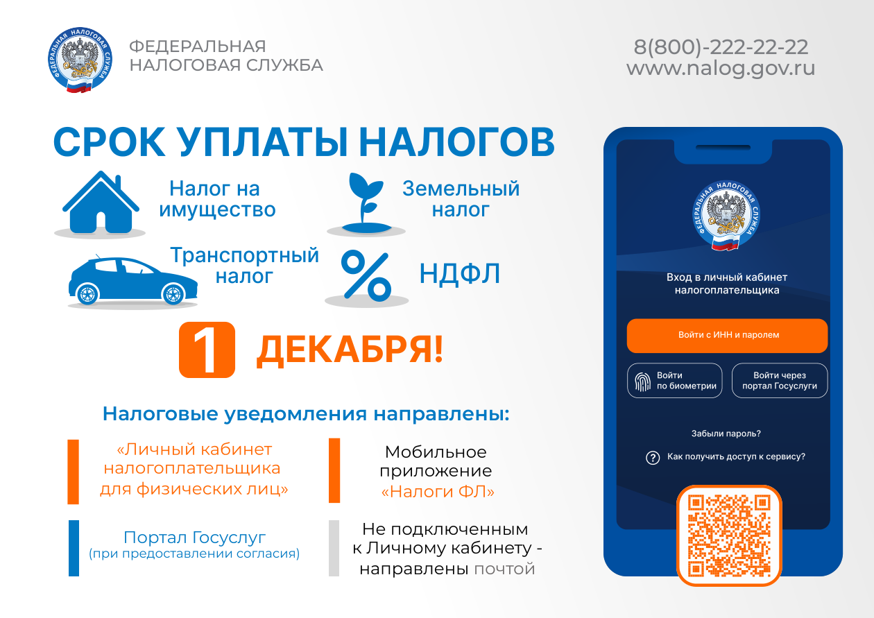 Напоминаем: заплатить имущественные налоги нужно до 1 декабря!