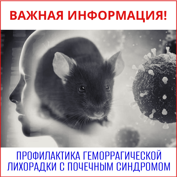 Профилактика геморрагической лихорадки с почечным синдромом