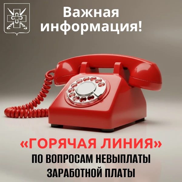 Не вовремя выплачивают зарплату? Сообщите на «горячую линию» по невыплате заработной платы