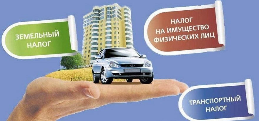 Что делать, если налоговое уведомление не получено?