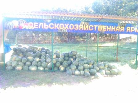 Ликвидация несанкционированной торговли
