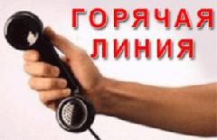 Работает «горячая линия» по ценам