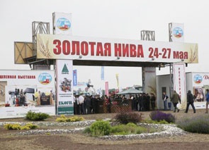 Динчане участвуют в «Золотой Ниве»-2016