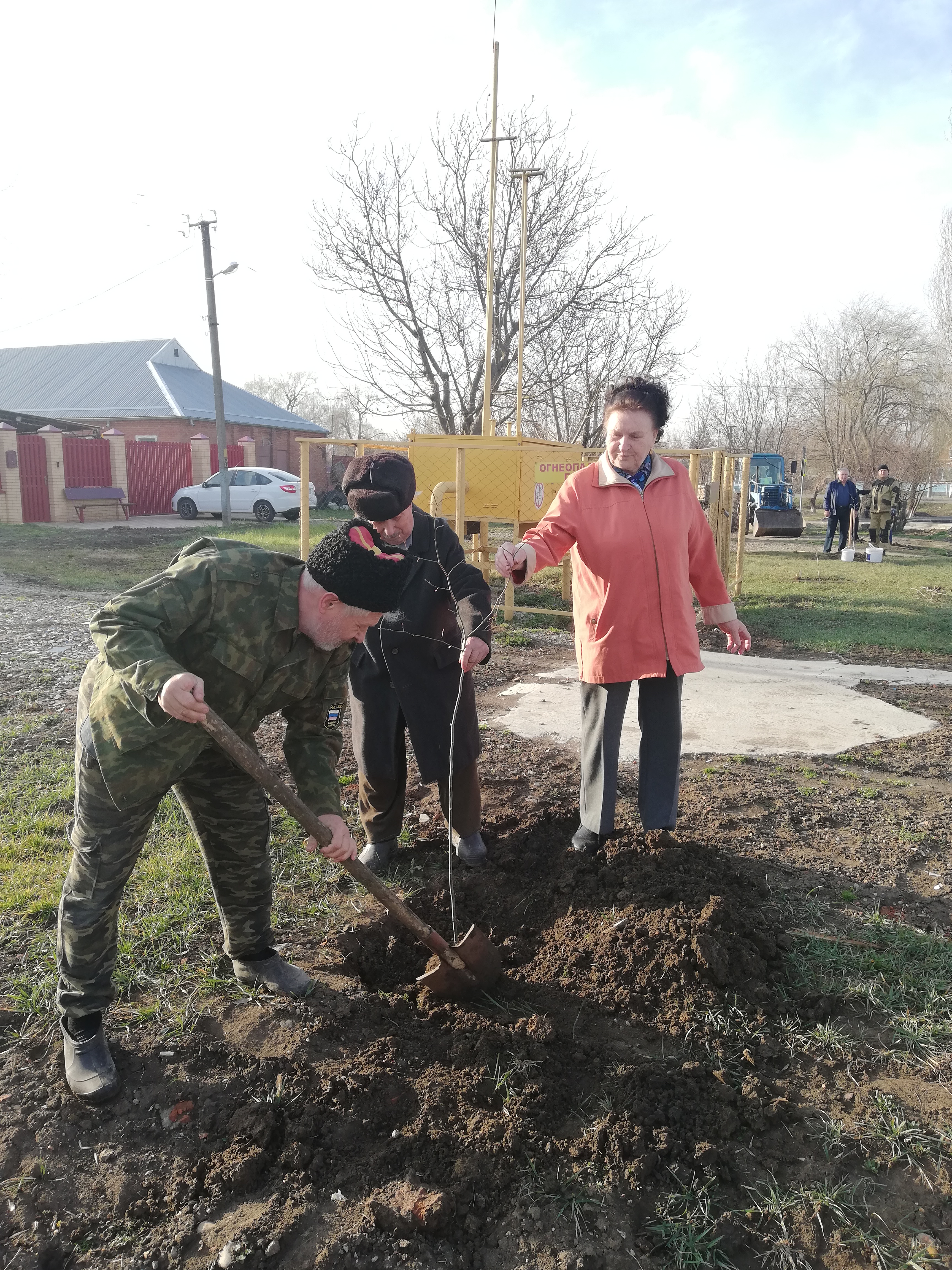 *Высадка деревьев по улице Чапаева !