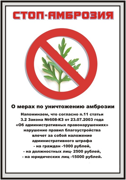 О мерах по уничтожению амброзии.