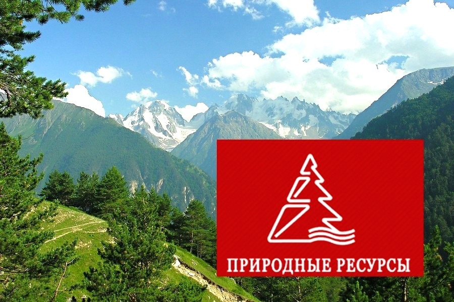 15 июня 2020 года министерство природных ресурсов Краснодарского края начало предоставление государственной услуги по выдаче разрешений на добычу охотничьих ресурсов на территории общедоступных охотничьих угодий Краснодарского края на сезон охоты 2020 – 2021 годов. Подробно - на официальном сайте Динского района https://dinskoi-raion.ru/about/info/news/47358/